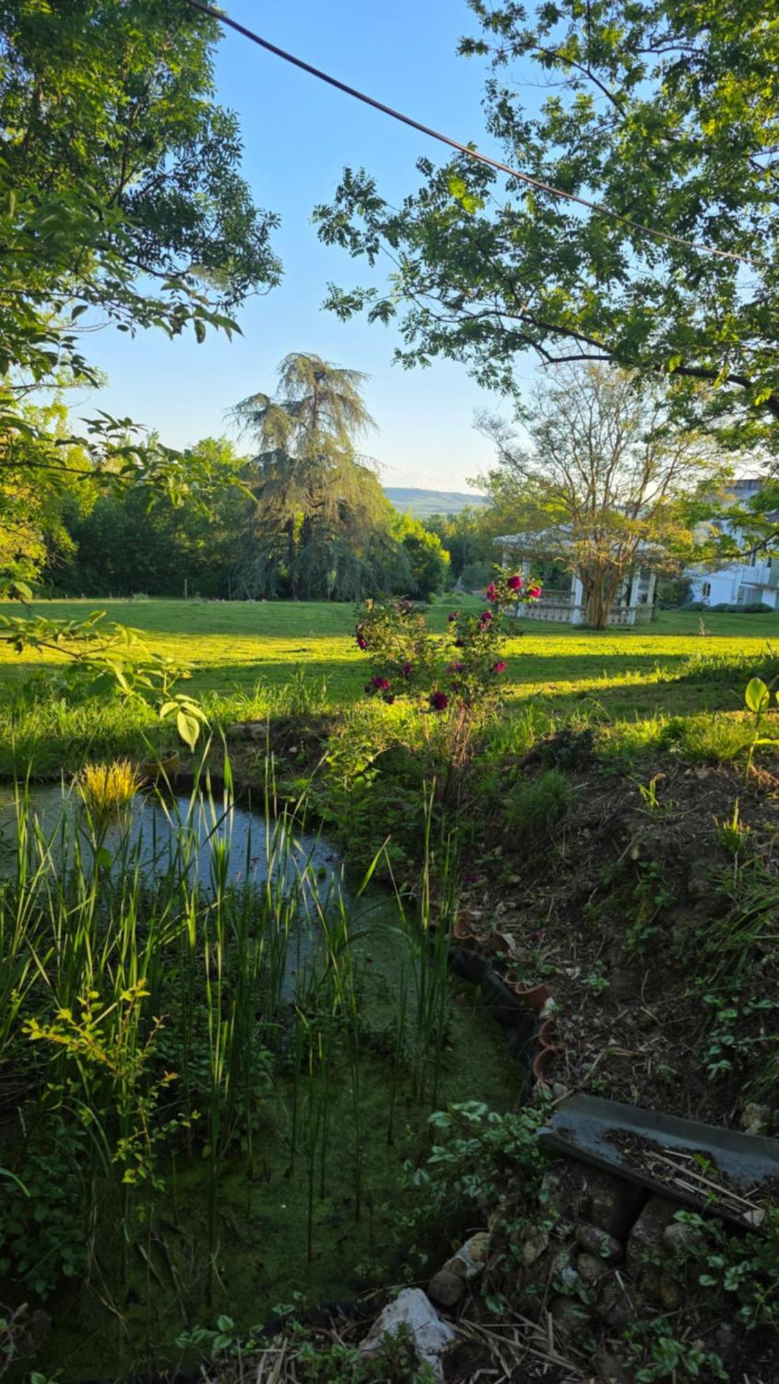 Chateau De Pourpry Damiatte Luaran gambar