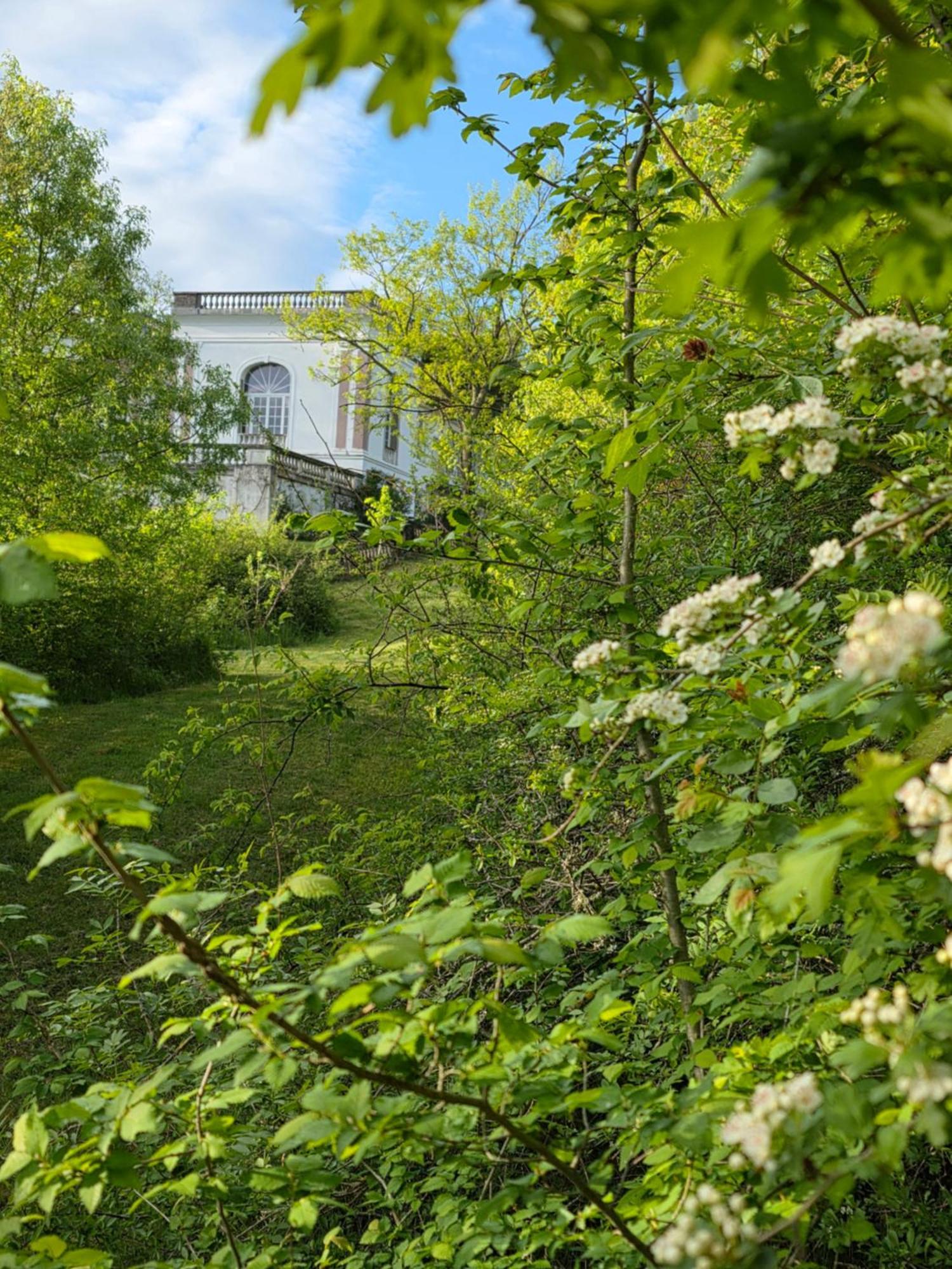 Chateau De Pourpry Damiatte Luaran gambar
