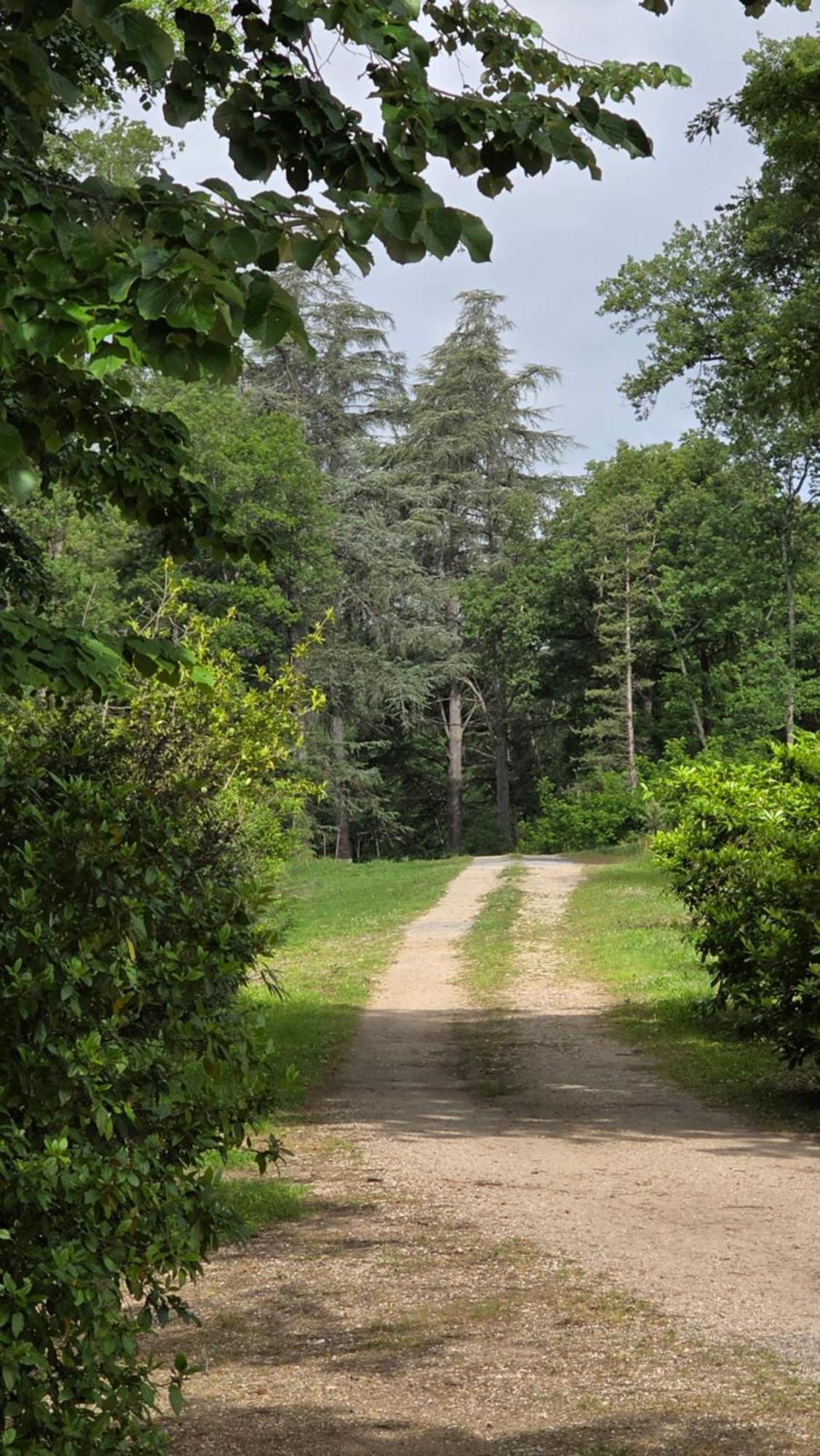 Chateau De Pourpry Damiatte Luaran gambar